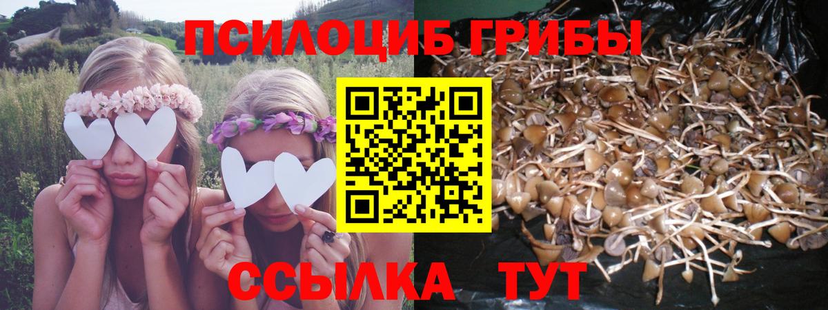 Псилоцибиновые грибы ЛСД Каменка
