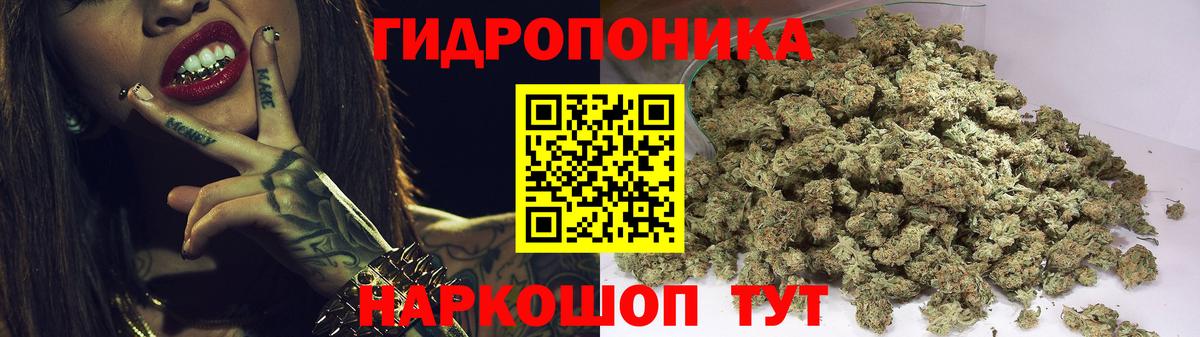 Шишки марихуана Amnesia Каменка
